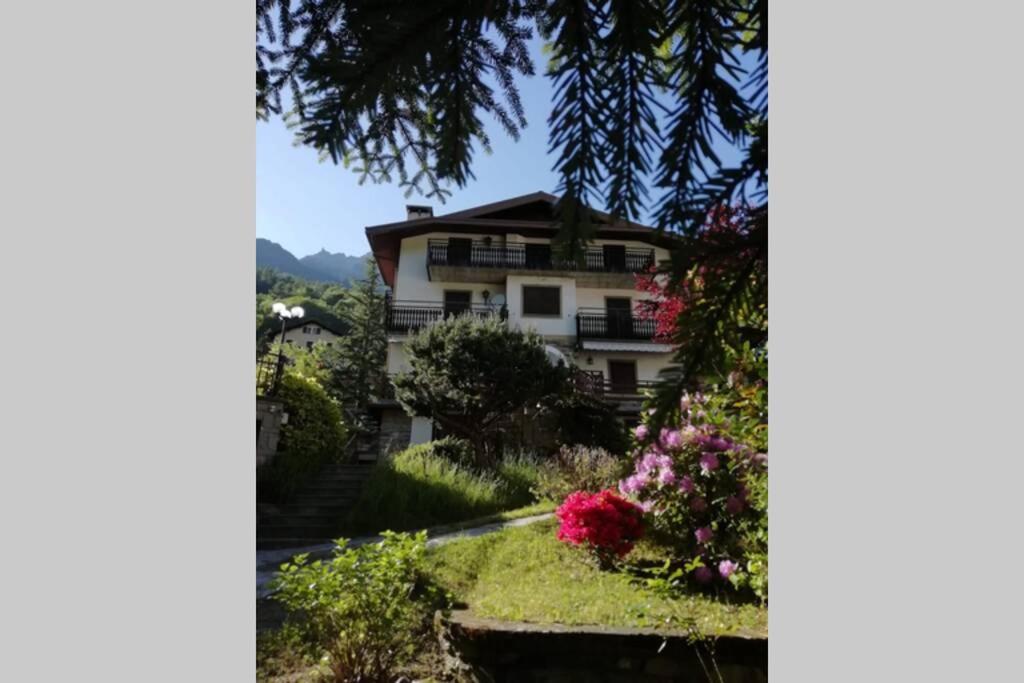 B&B Chiesa in Valmalenco - Ferrari's: bright apartment with magnificent view - Bed and Breakfast Chiesa in Valmalenco