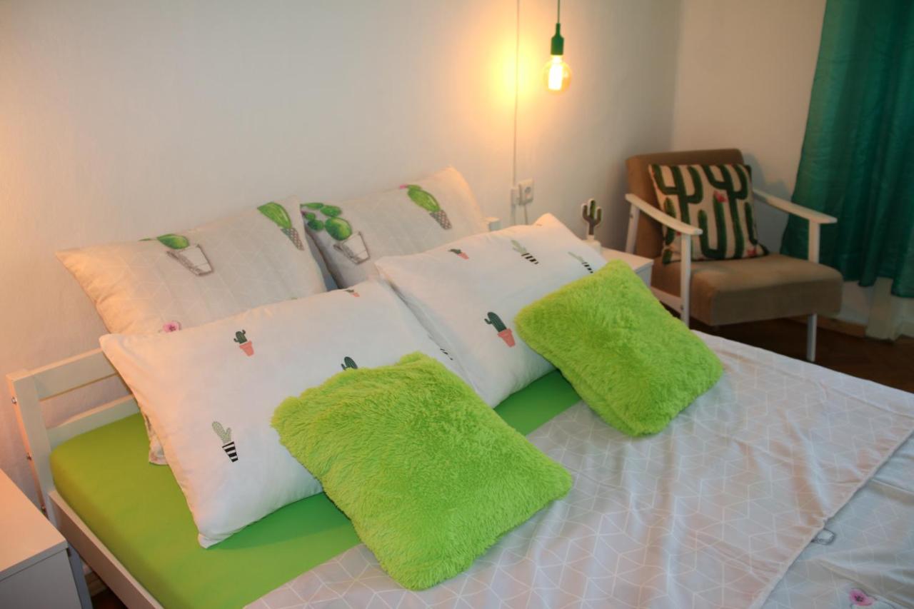 B&B Senta - Green Cactus Rooms - unique and cozy house - Bed and Breakfast Senta