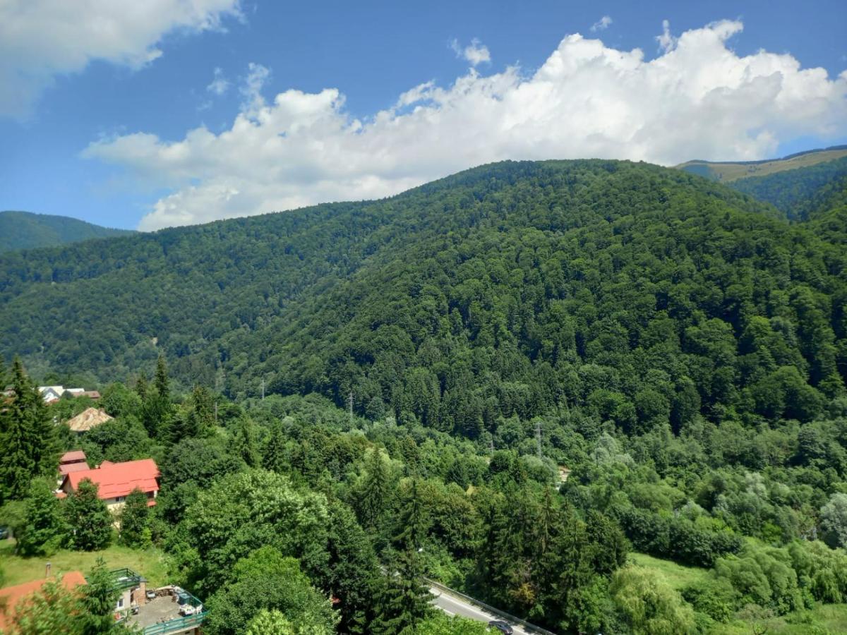 B&B Sinaia - RAI Apartament - Bed and Breakfast Sinaia