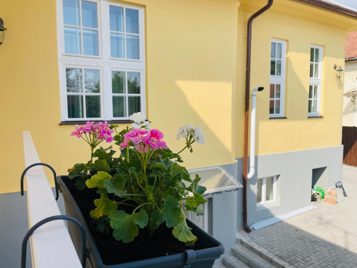 Villabaroque_Eger - Bed and Breakfast Eger