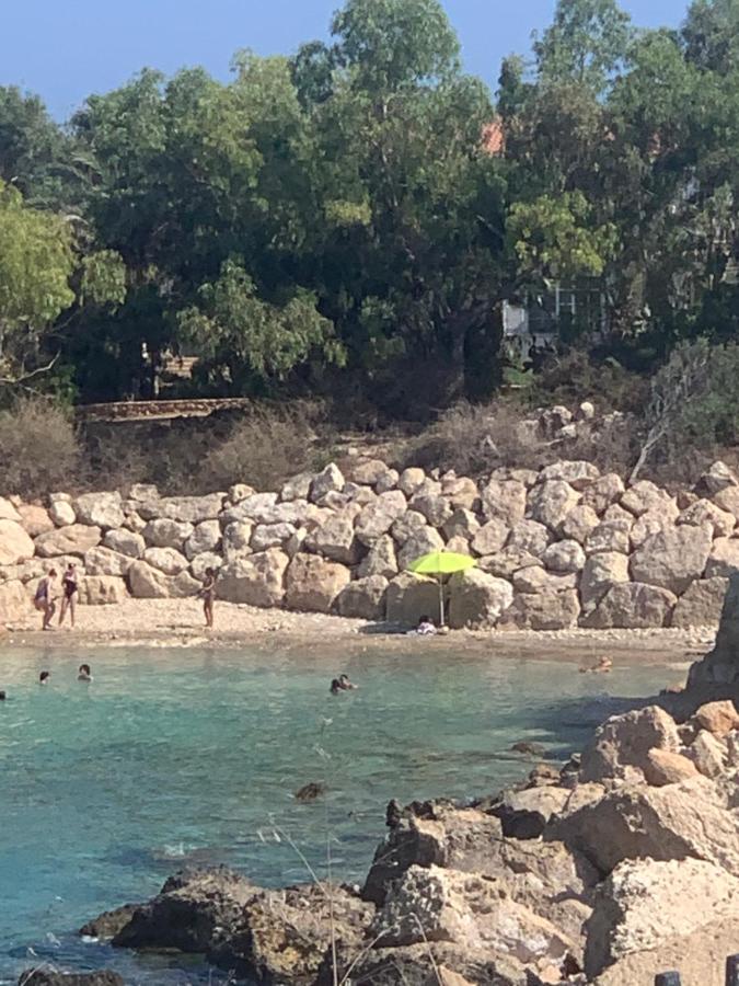 One-bedroom beach apartment, 30m from an amazing beach, Coralli - B&B Protaras