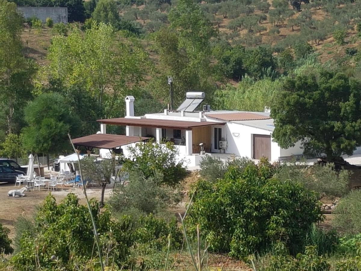 Amandolas - Bed and Breakfast