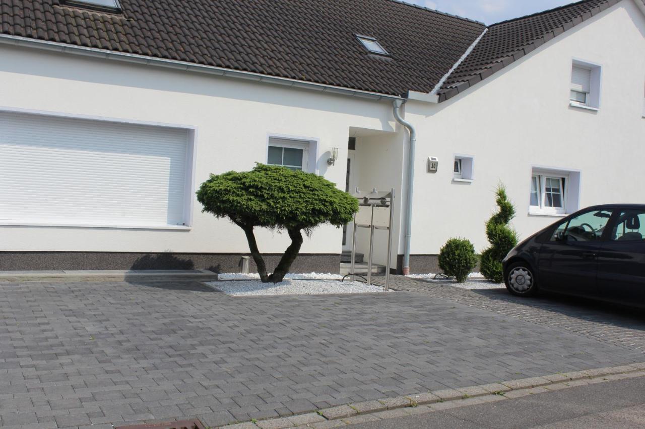 Zimmer David - B&B