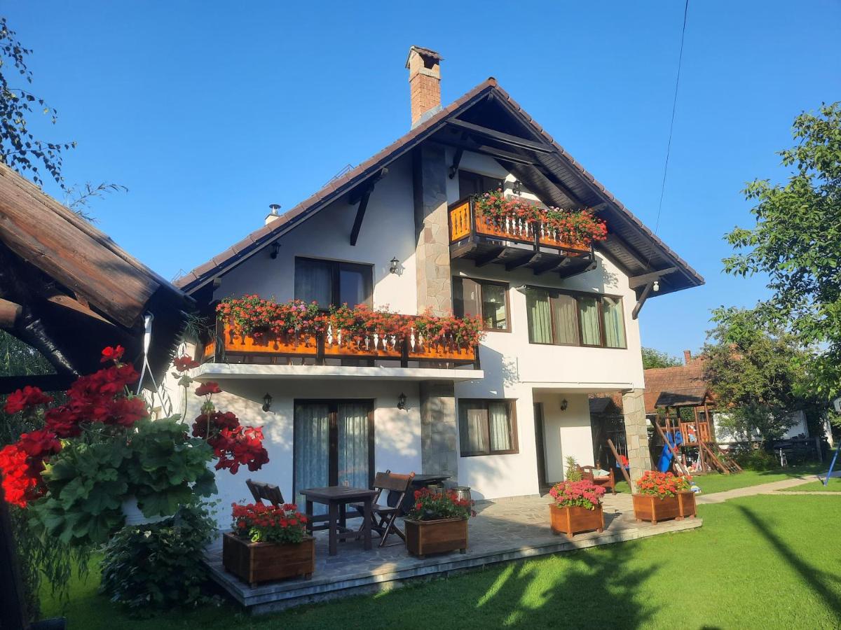 Casa Bran Family - Chambres d’hôtes