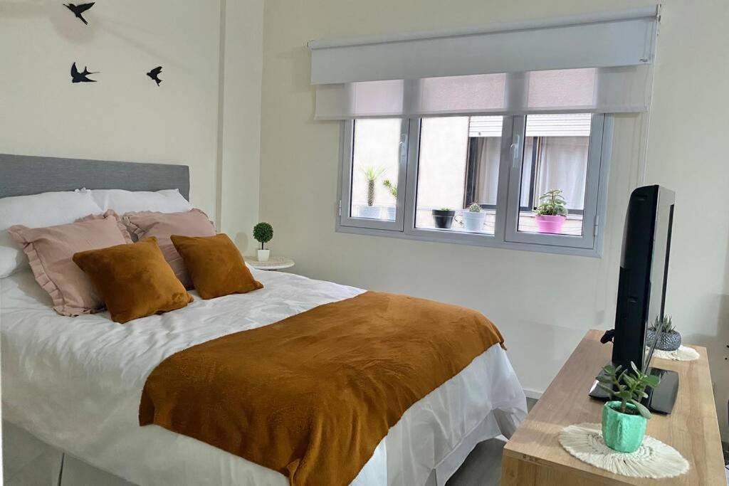 Appartement 1 Chambre