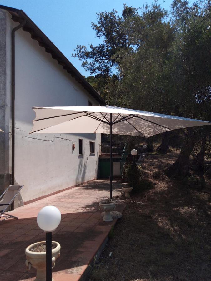 L'Antica Quercia B&B - B&B Castell'Umberto