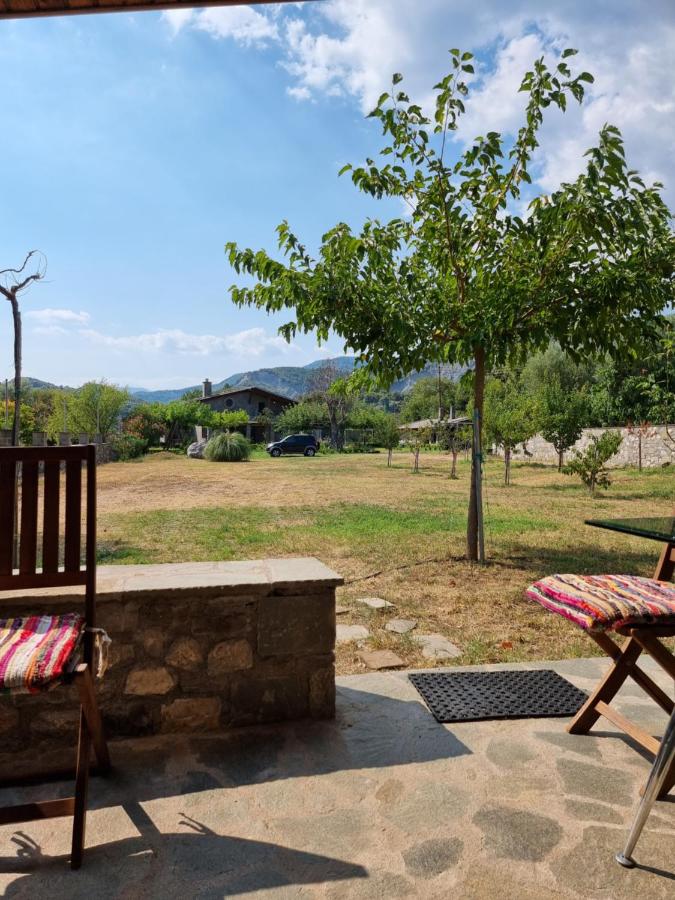 House with big garden and barbeque in nature - B&B