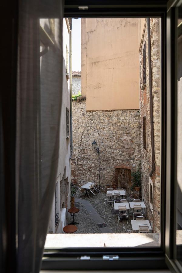 HOMO HOMINI LUPUS - B&B Brescia