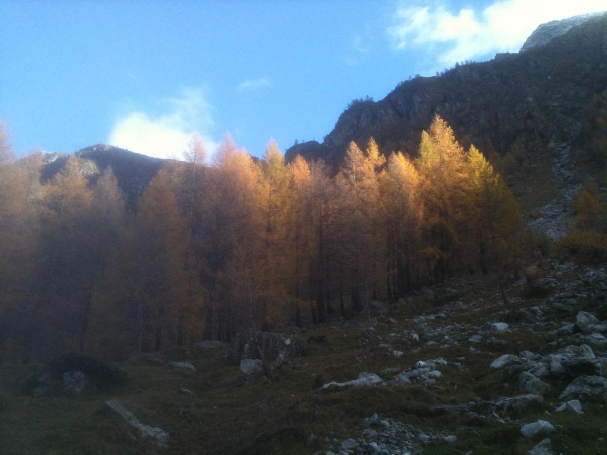 Tweepersoonskamer met Eigen Badkamer