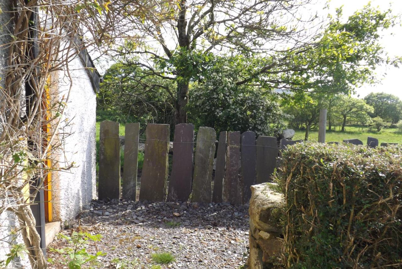 Perthi Uchaf - Chambres d’hôtes Llanberis
