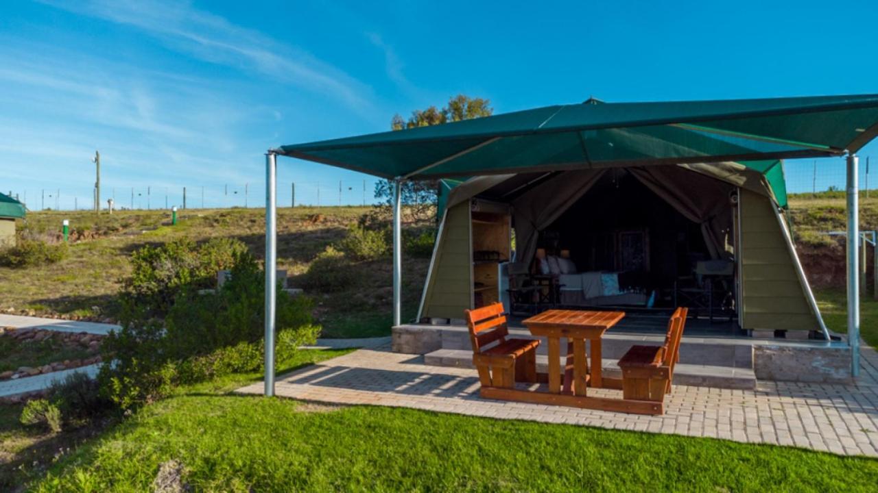 Tenda (2 Adulti) 