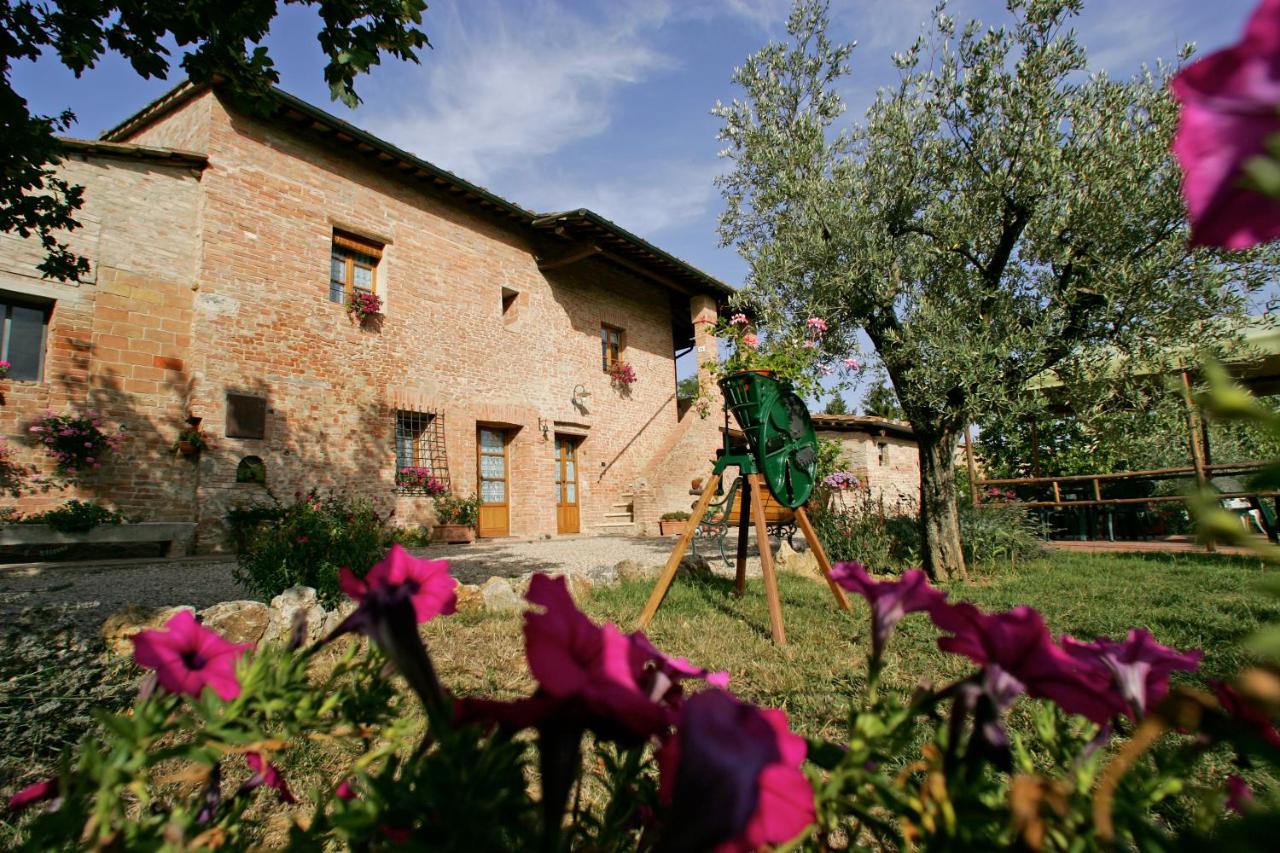 B&B Siena - Podere Il Pero - Bed and Breakfast Siena