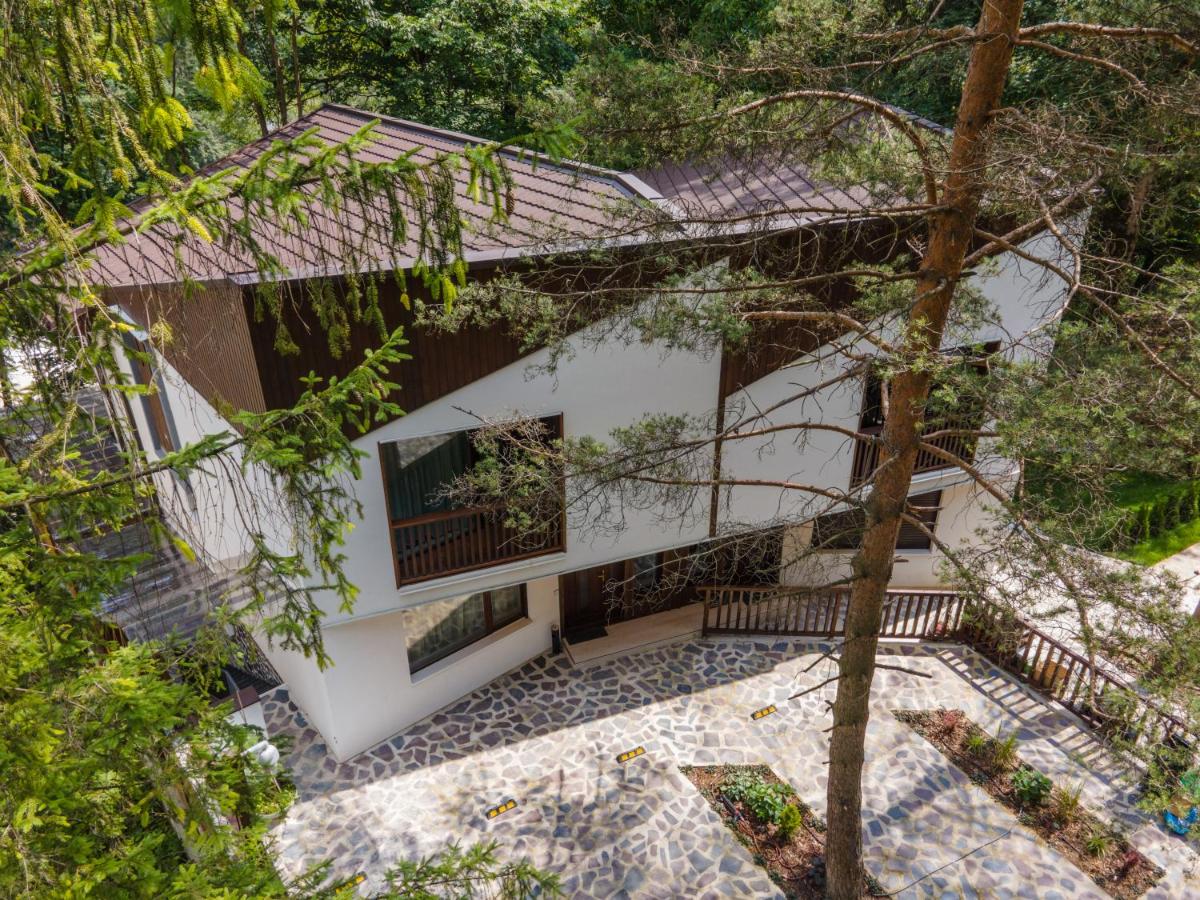Drago Chalet Sinaia, hot tub and sauna - B&B Sinaia