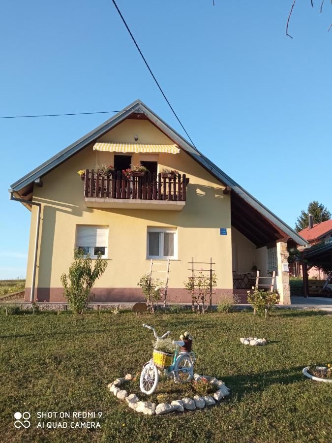 Yellow Rose - Ferienwohnung