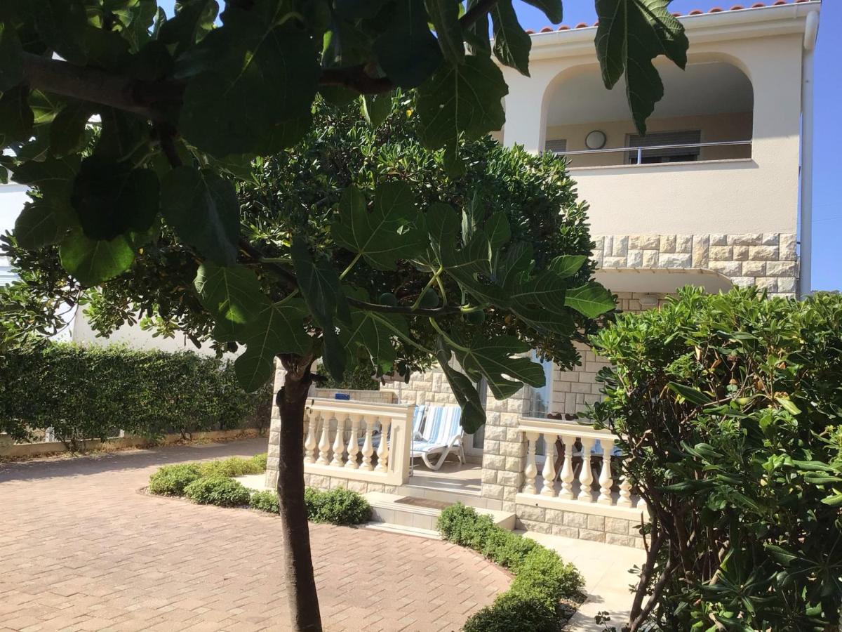 Apartments P&L - 25m from beach - Chambres d'hôtes Tkon