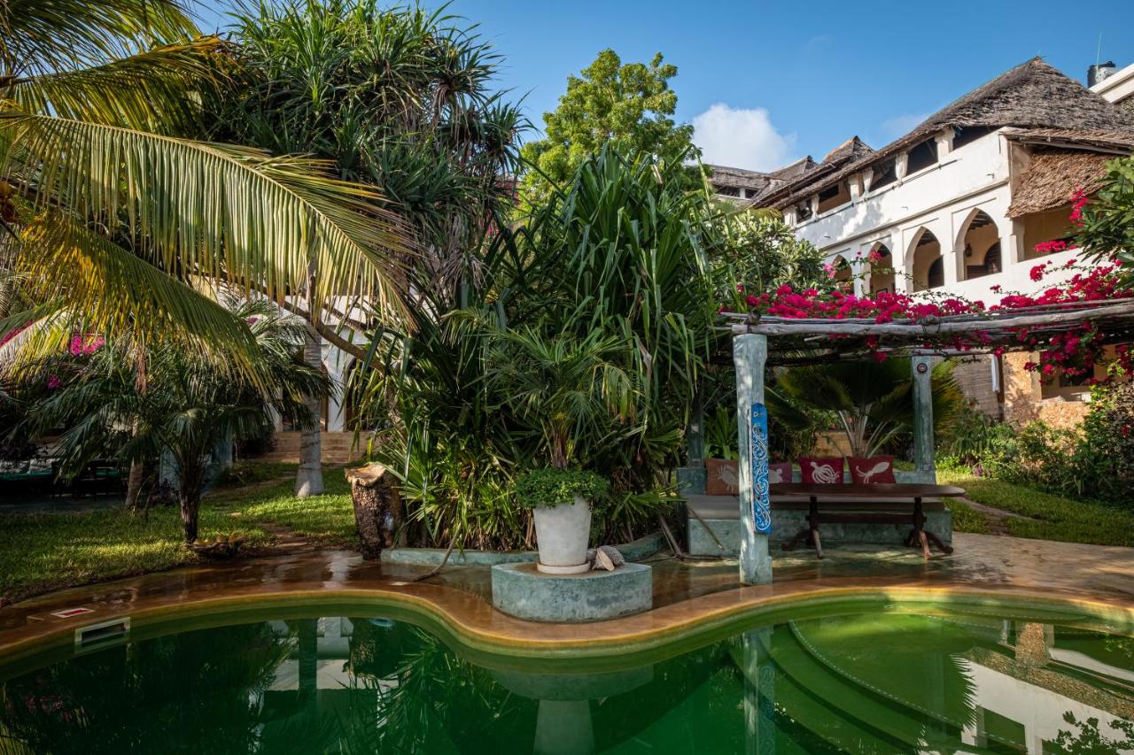 Banana House and Wellness Centre - B&B