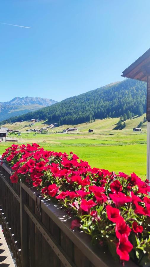 Chalet Da Florin - B&B Livigno