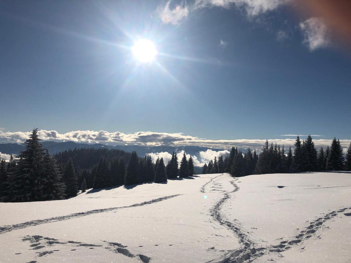 Apartamento de 2 dormitorios