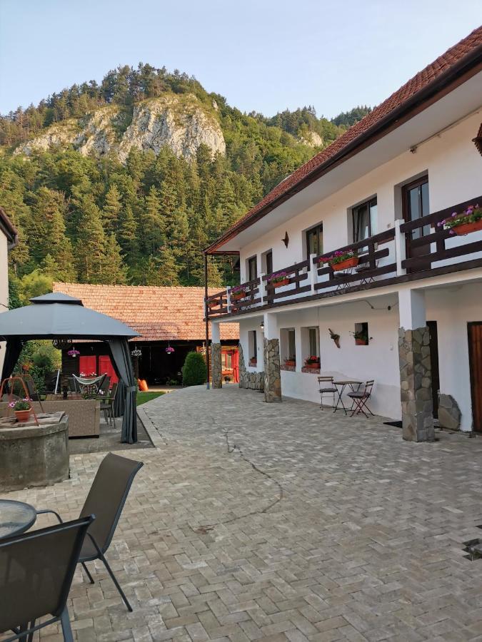 B&B Bran - Guest House Piatra Craiului - Bed and Breakfast Bran