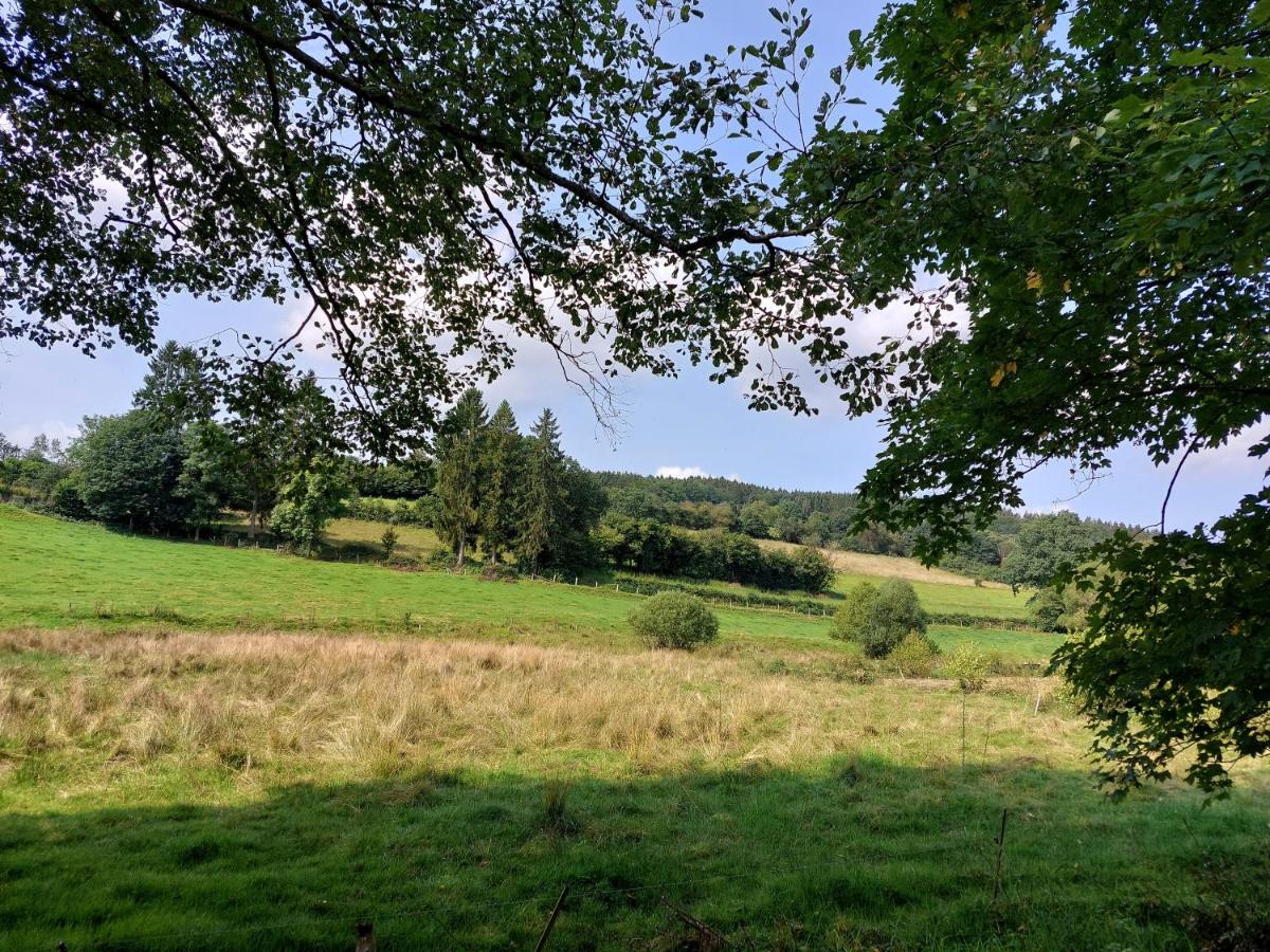 Ferienwohnung Setzer Mühle - Chambres d’hôtes Saint-Vith
