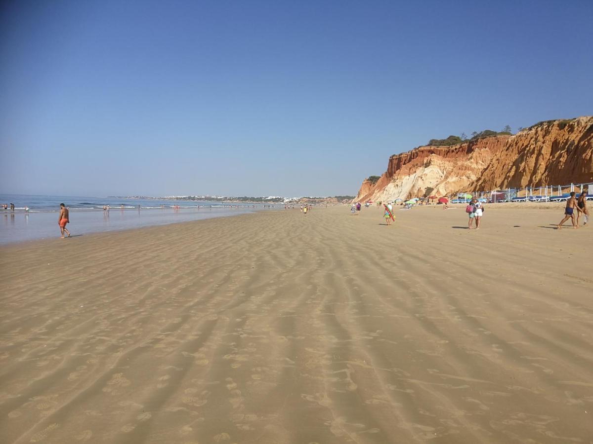 Casa do Algarve - Ferienwohnung Albufeira