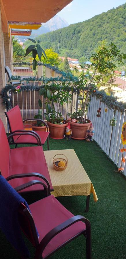 Apartament OVO Sinaia - Bed and Breakfast