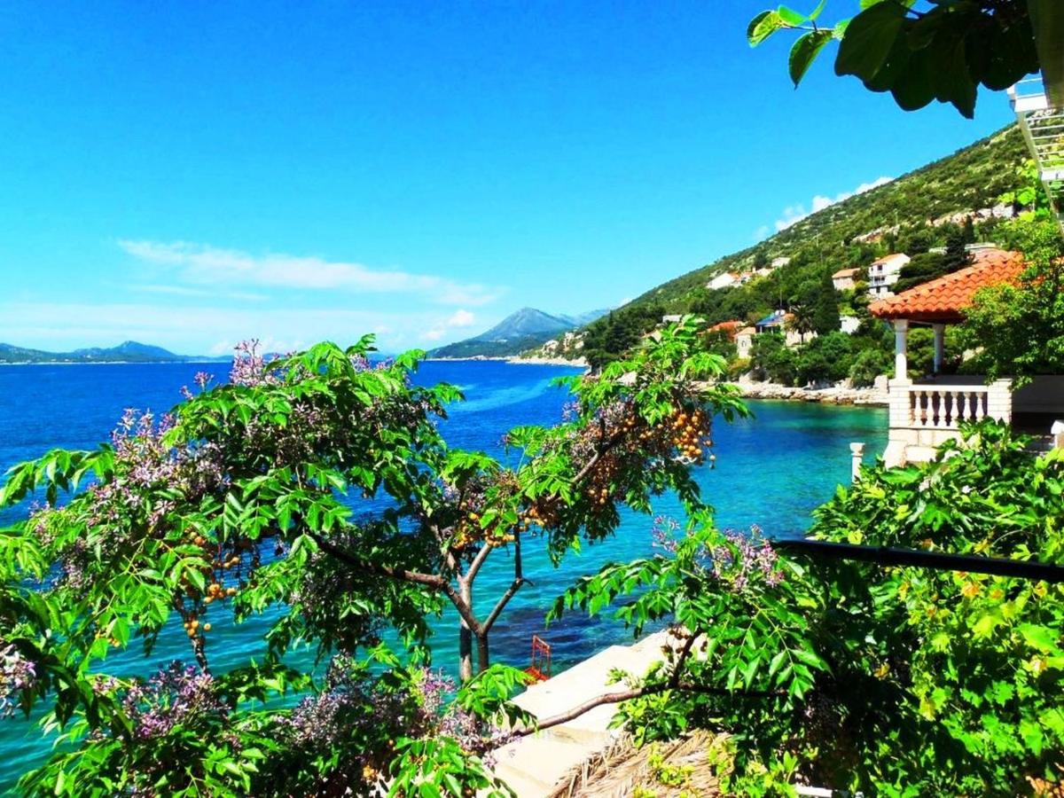 Appartamento con Vista Mare e Terrazza