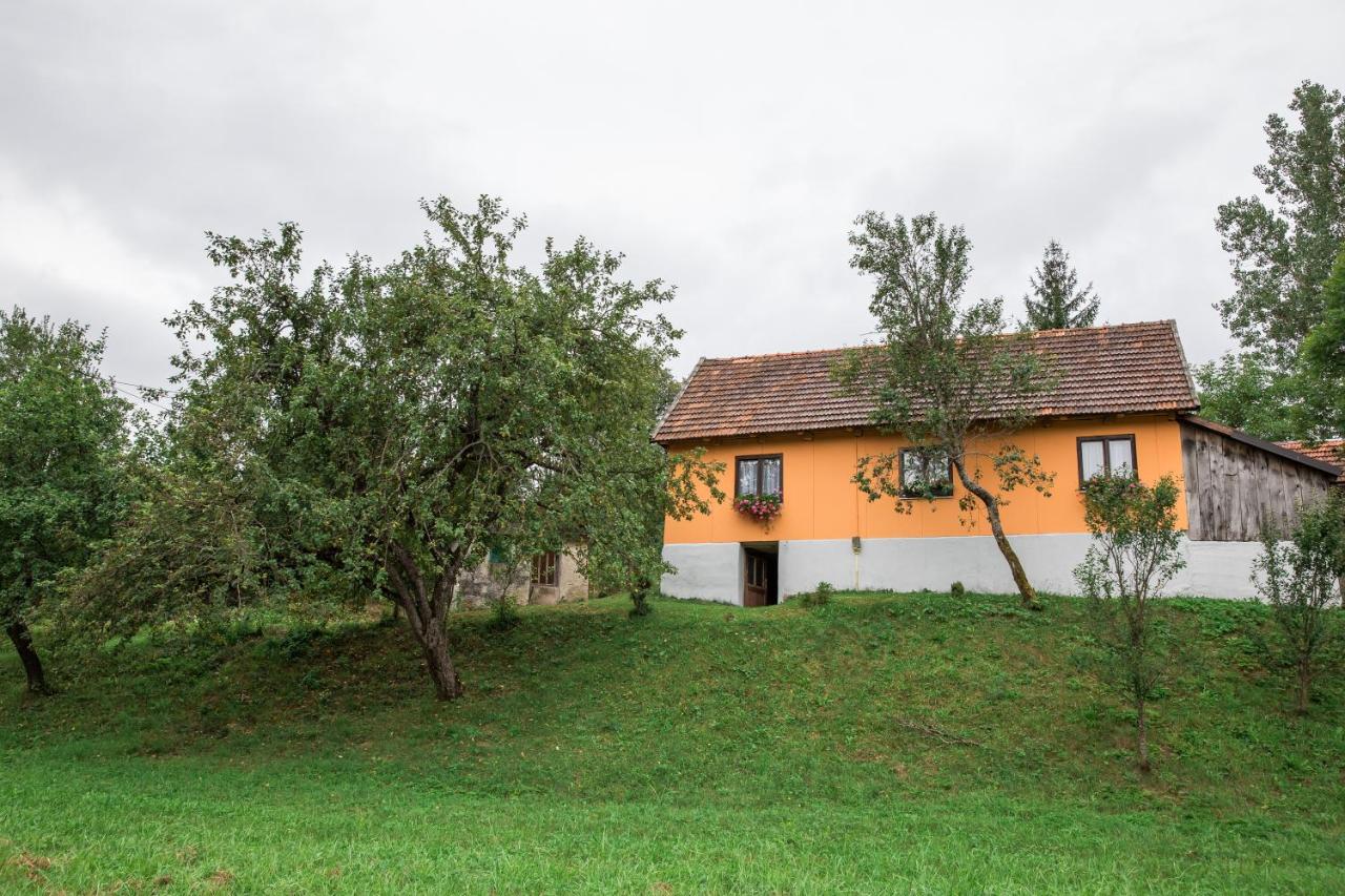 Kuća za odmor Jagnjić - B&B
