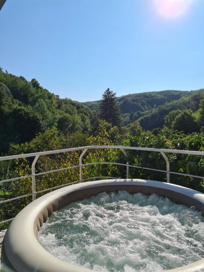 Casa Bella - B&B Dognecea