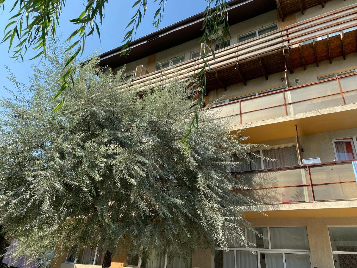 Apartament Eldoris - B&B