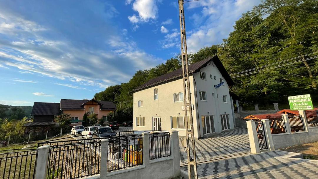 Pensiunea Ovidiu - Chambres d’hôtes