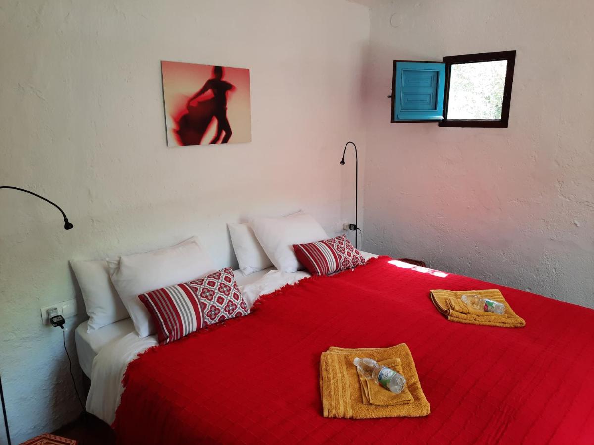 King Room with Mountain View