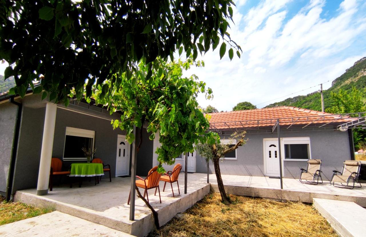 Celtis Shade House - Chambres d’hôtes Virpazar