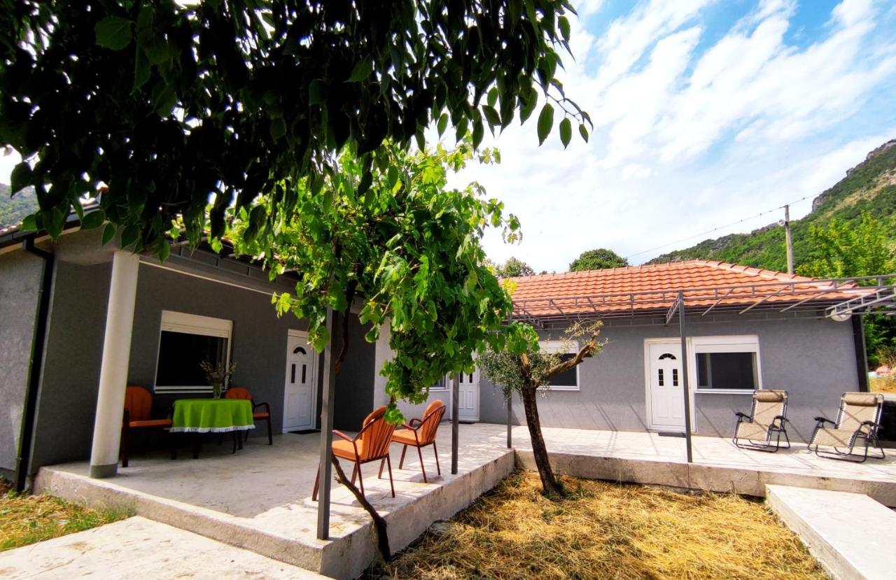 B&B Virpazar - Celtis Shade House - Bed and Breakfast Virpazar