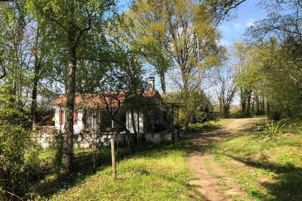 B&B Chirac - La Petite Maison au bord de l’étang - Bed and Breakfast Chirac