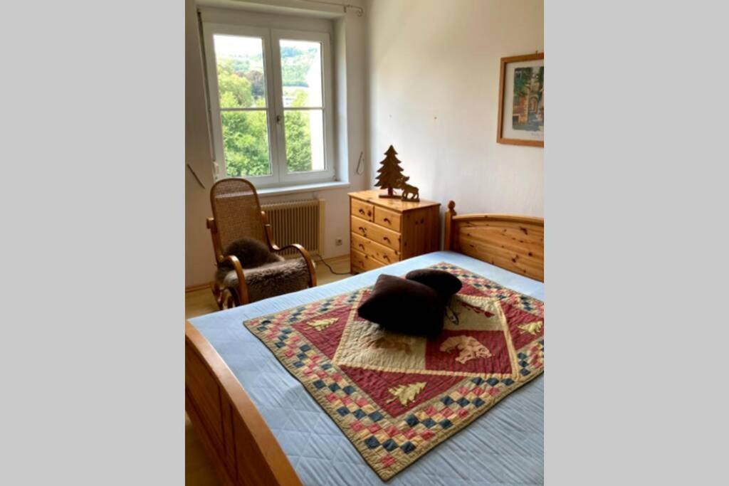 Cozy Condo close to town, castle, lake and hiking - Ferienwohnung Wolfsberg