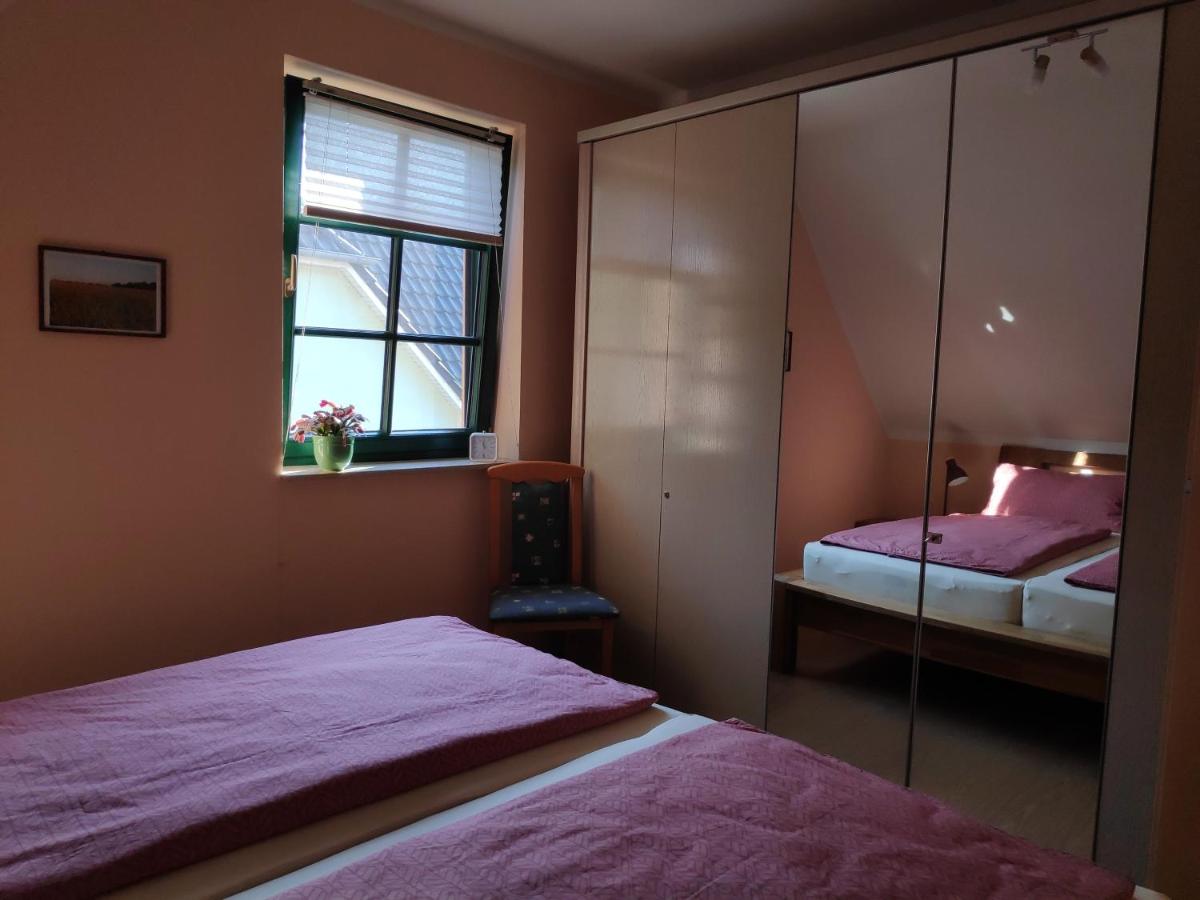 Appartement 1 Chambre
