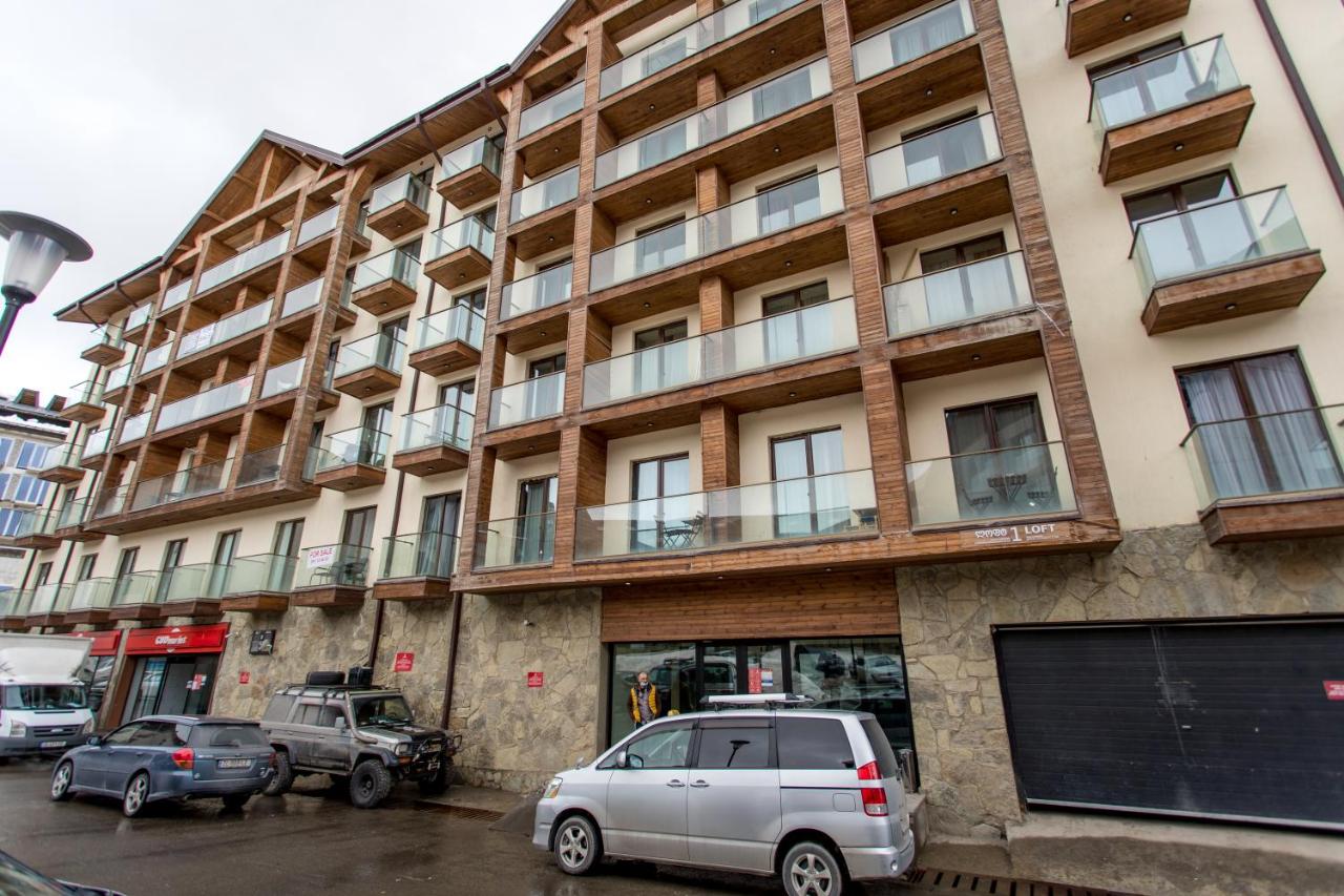 Mountain View 1BR Apartment 101 - Loft 1 - Bed and Breakfast