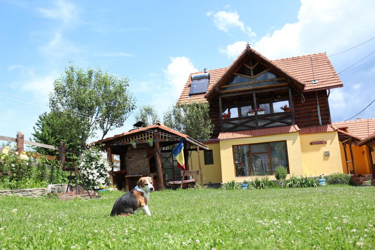 Cabana Ollie Retezat - Bed and Breakfast