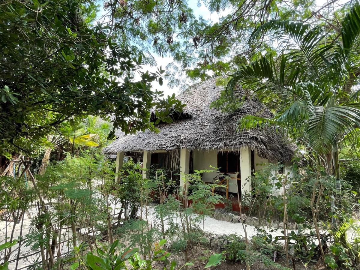 Bellevue Zanzibar - B&B