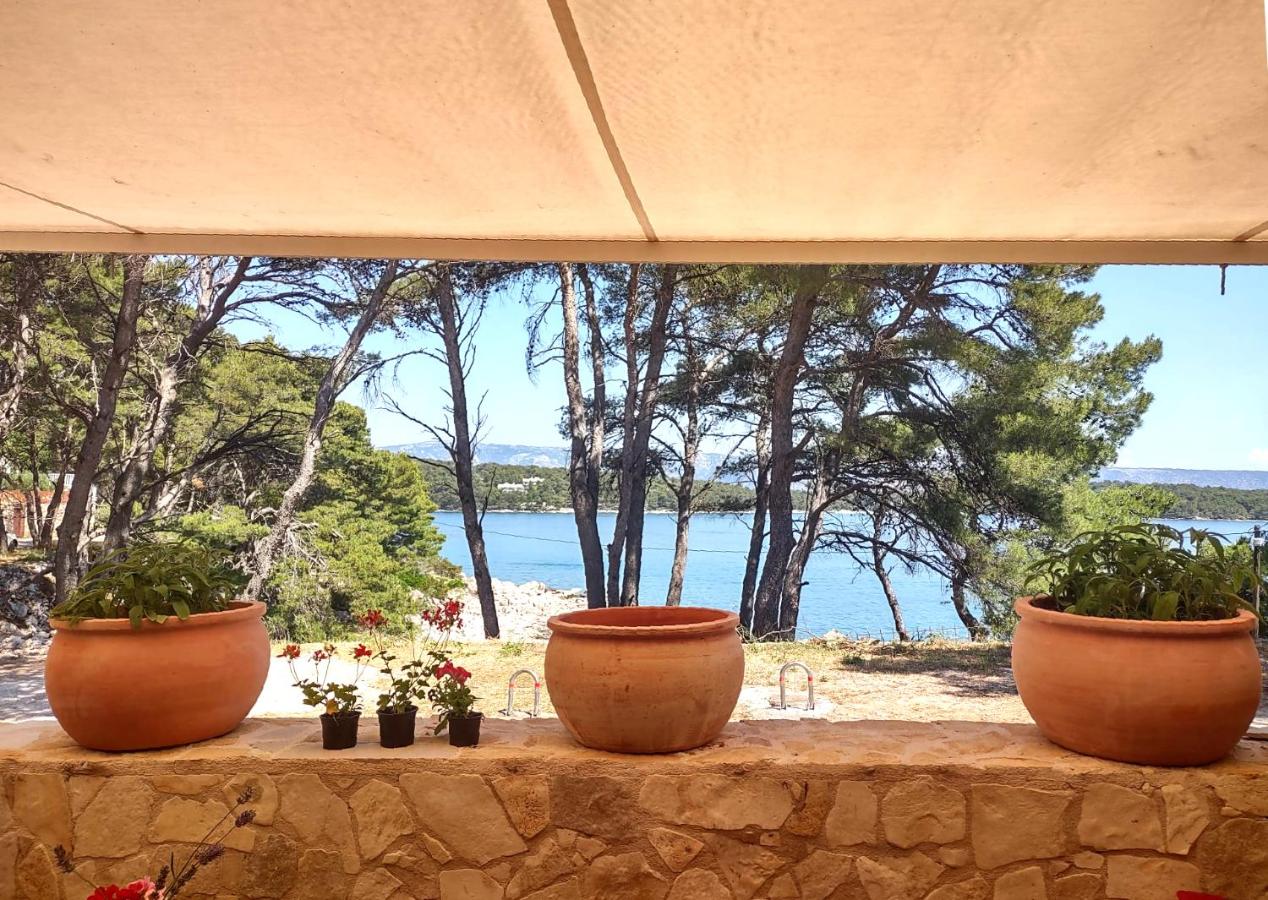 B&B Gelsa - Stone Villa Hvar Ana and Nikola Beachfront - Bed and Breakfast Gelsa