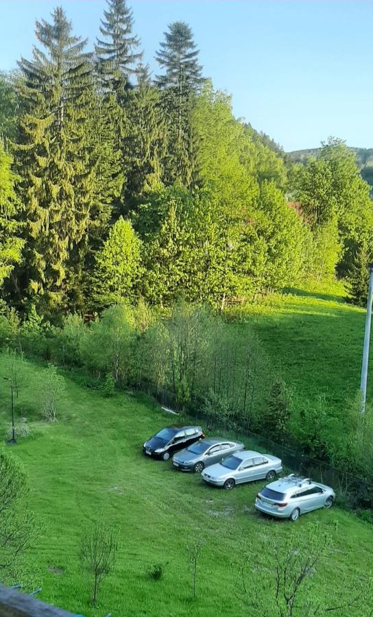 Pod Modrzewiem Agroturystyczne mieszkania turystyczne - Chambres d'hôtes Duszniki-Zdrój