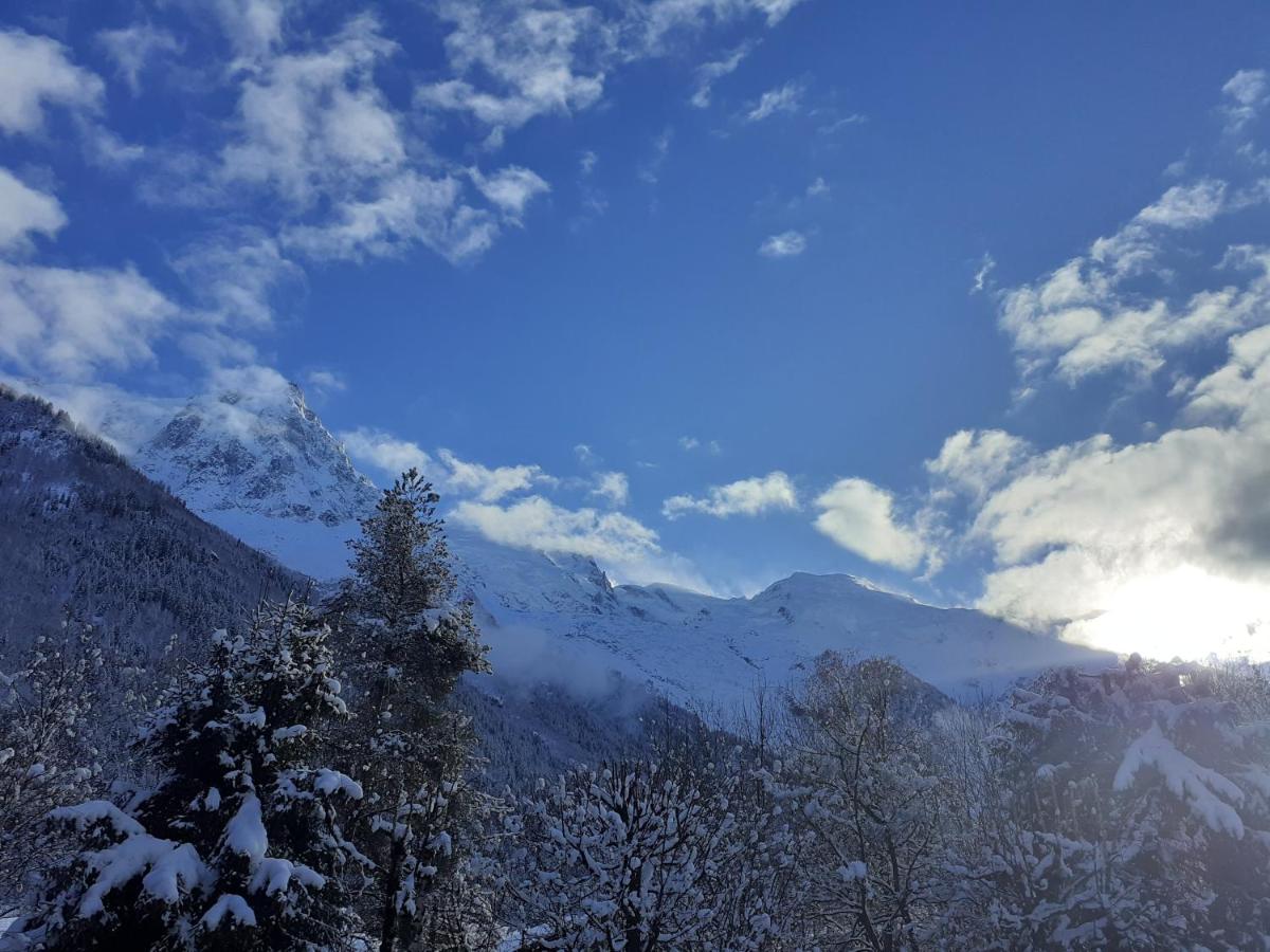 studio quartier calme centre ville vue mont Blanc - B&B