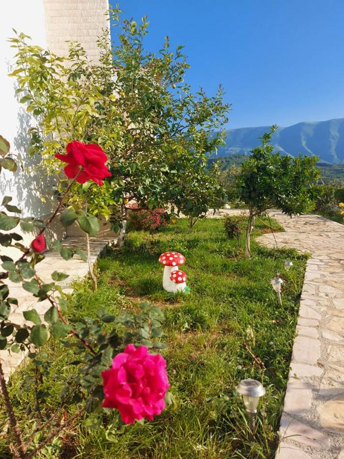 B&B Valona - Vlore Casa Vacanze - Bed and Breakfast Valona