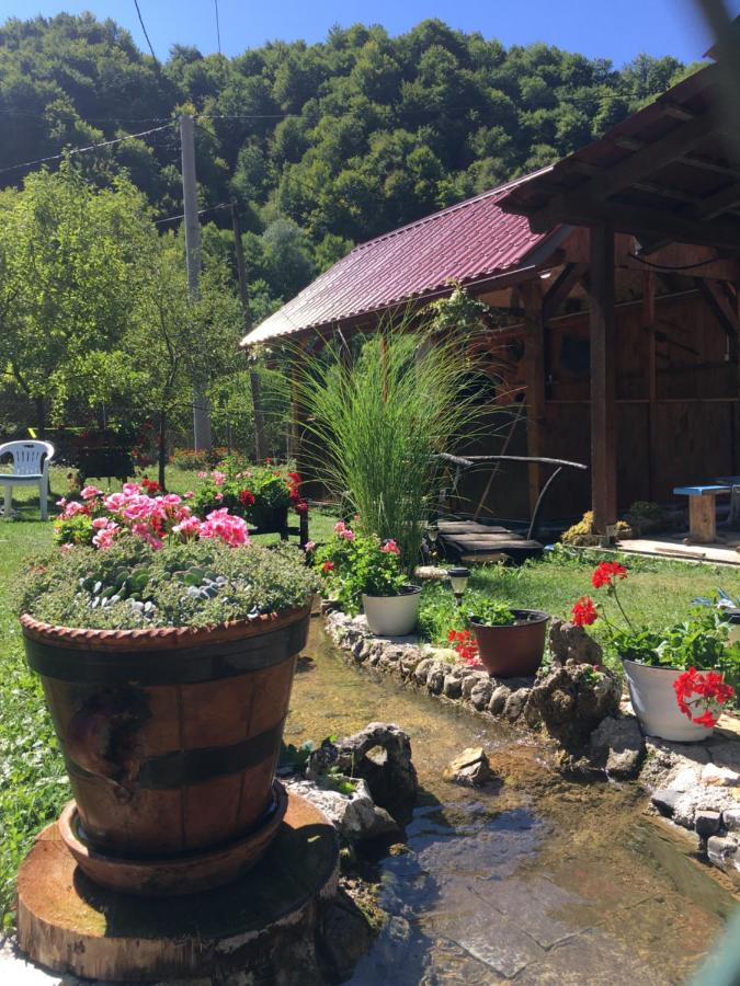 Domacinstvo Ubovic - B&B