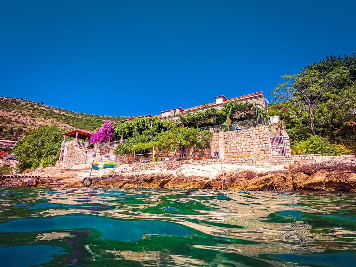 B&B Dubrovnik - Sea of Eden - Bed and Breakfast Dubrovnik