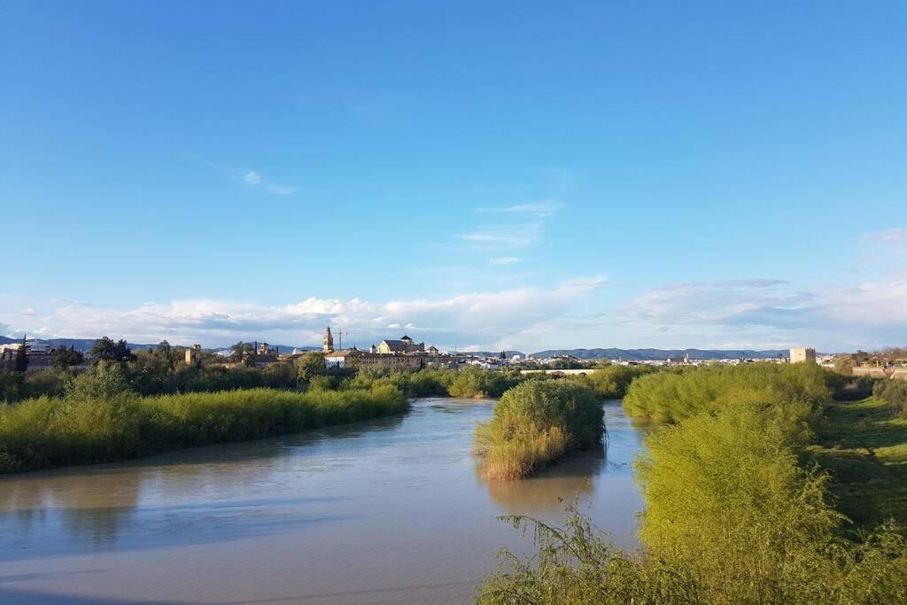 Apartamento San Pedro-Corredera - Chambres d’hôtes Cordoue