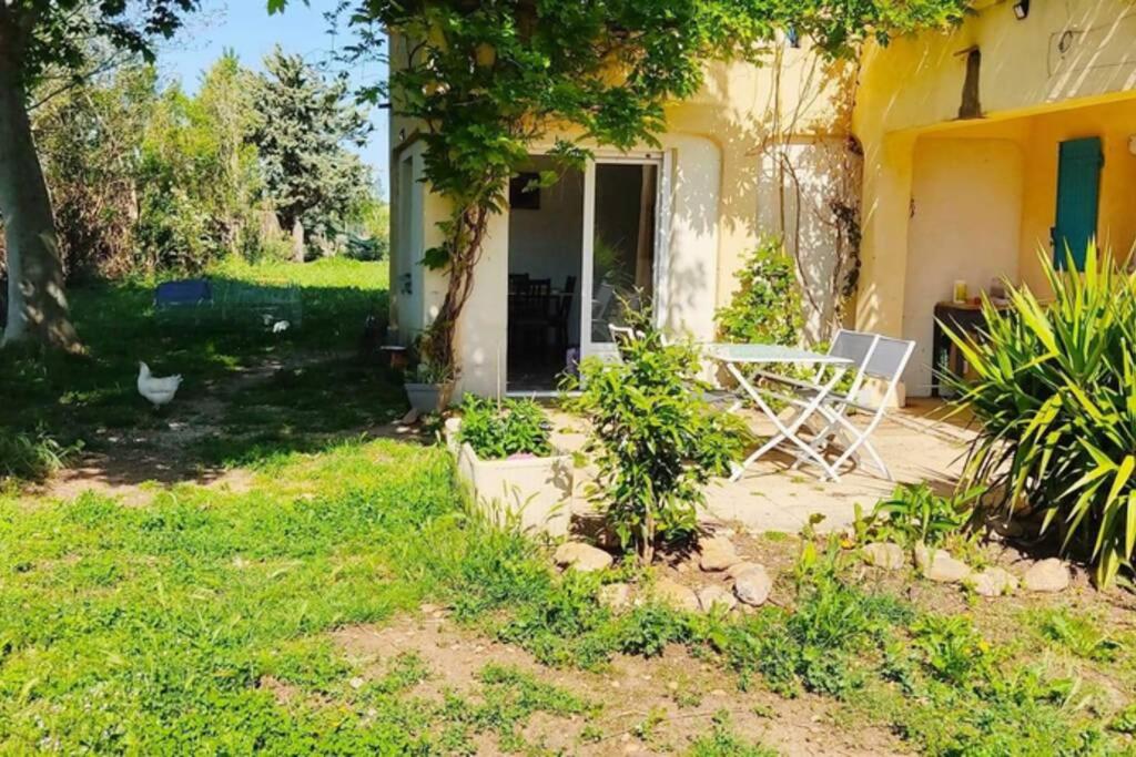 Offrez-vous un séjour dans notre gîte à Entressen Une grande piscine pour se rafraîchir ,un espace de jeux pour enfants pour des heures de divertissement Un terrain de pétanque pour des parties endiablées - Chambres d’hôtes