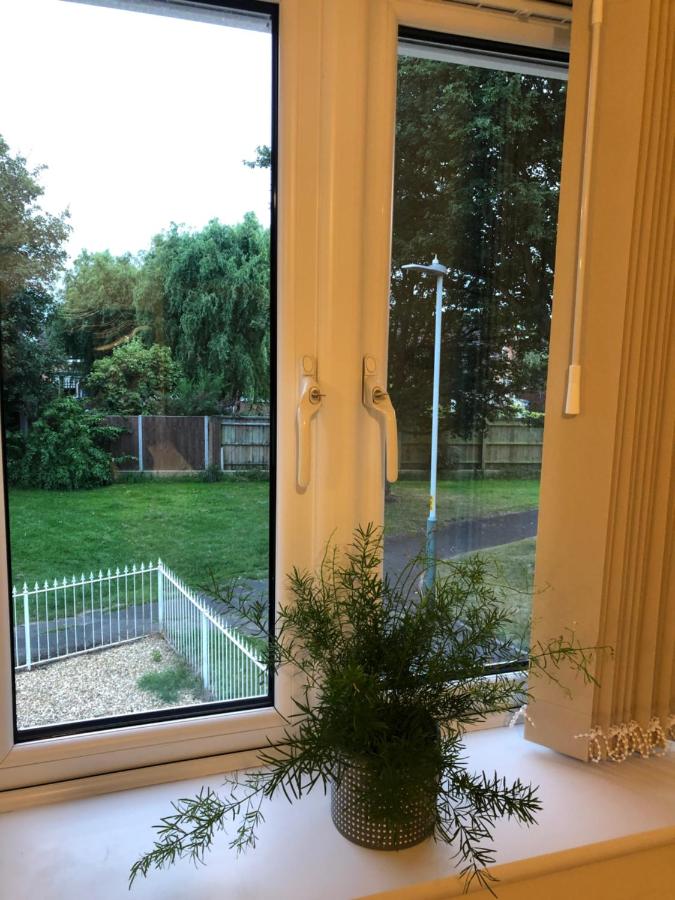 CuteRooms - Bed and Breakfast
