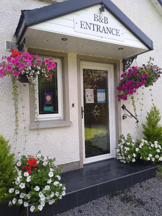 B&B Omagh - The Laurels Bed & Breakfast Lodge - Bed and Breakfast Omagh